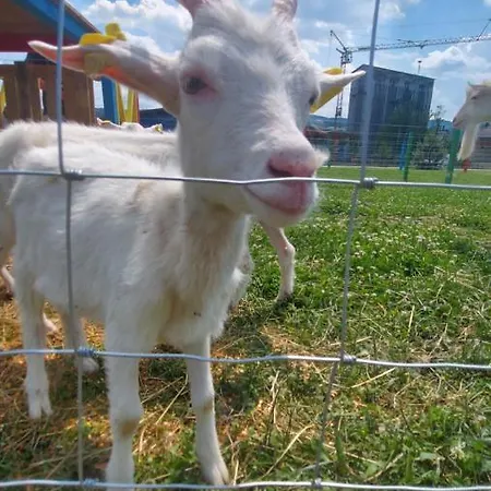 Appart hôtel Nestville 3*