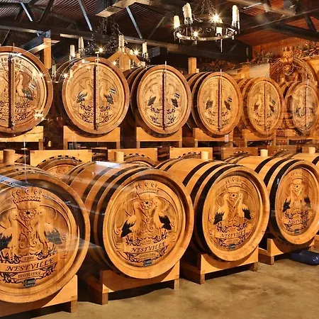 Nestville Apart-hotel Hniezdne