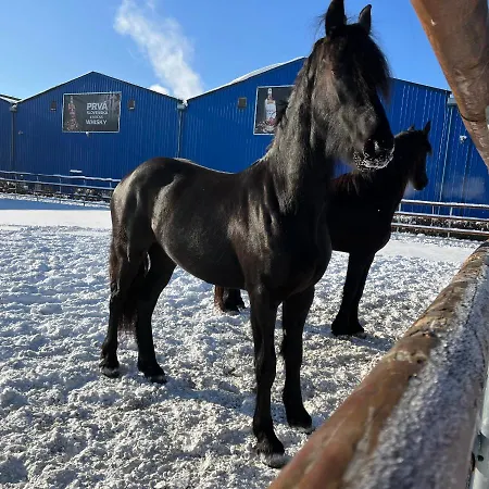 Apart-hotel Nestville Hniezdne