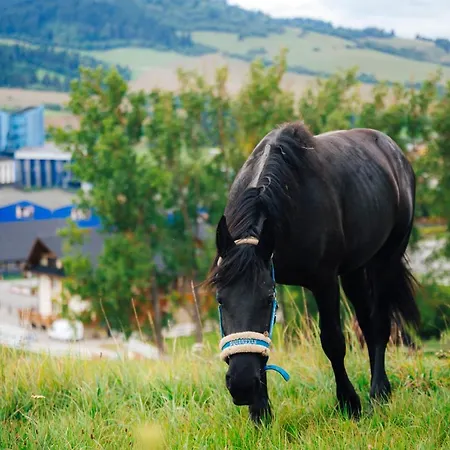 Nestville Appart hôtel Hniezdne
